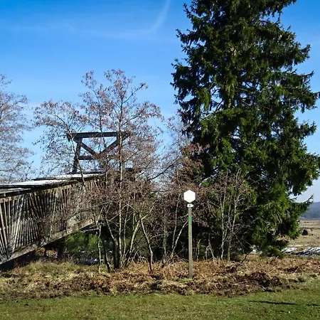 La D'auguste * Saint-Hubert