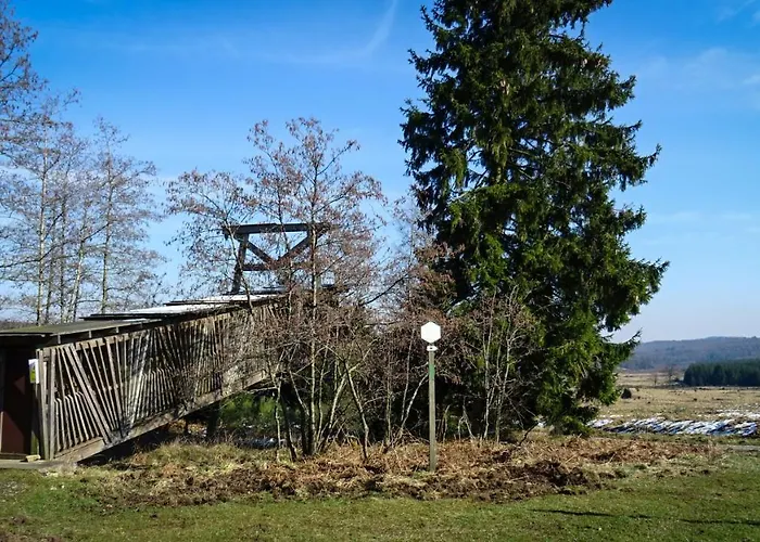 La D'auguste * Saint-Hubert